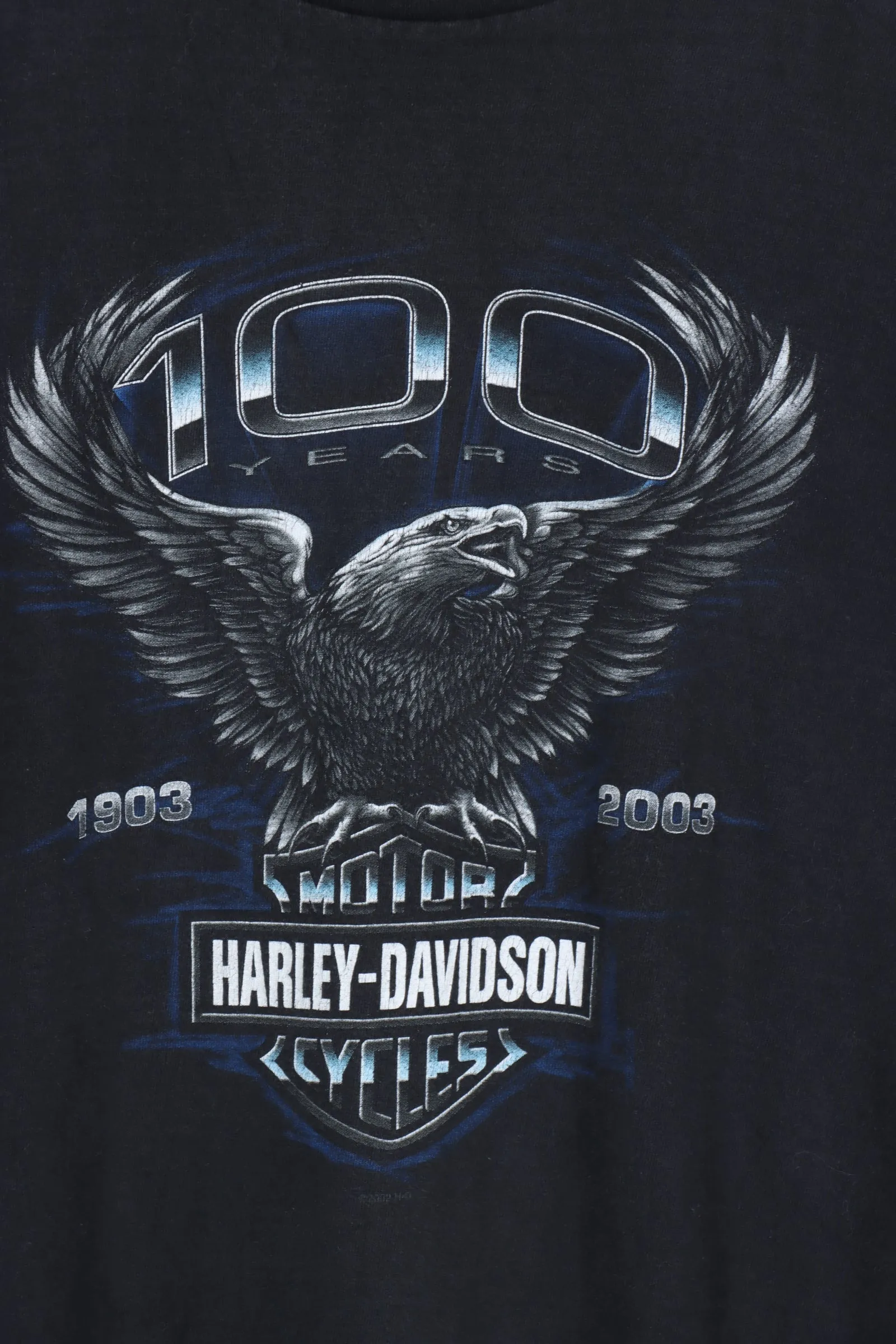 HARLEY DAVIDSON Eagle 100 Years Blue Chicago Tee (M)