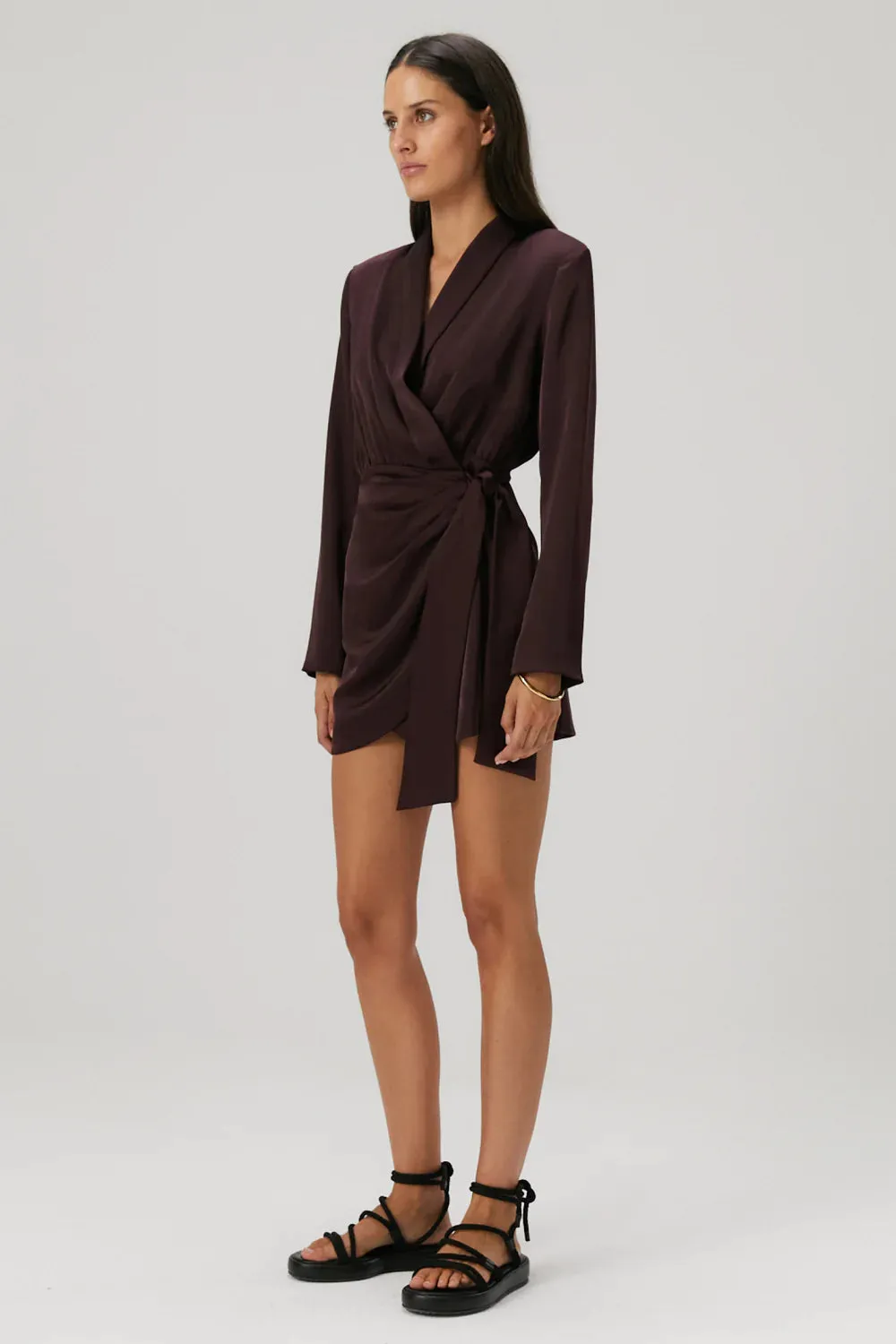 MISHA | Azera Mini Dress - Port