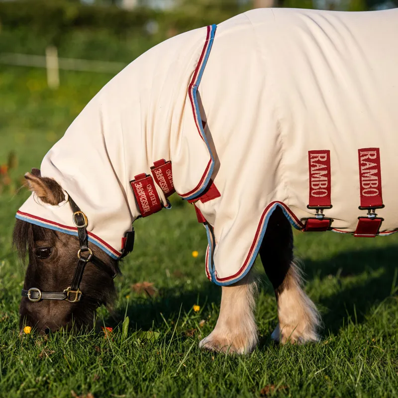 Rambo Petite Hoody Sweet Itch Fly Rug - Sand/Cherry/Peach/Blue